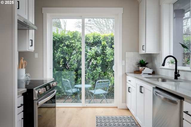 doorway to outside with light wood-type flooring, a wealth of natural light, and sink