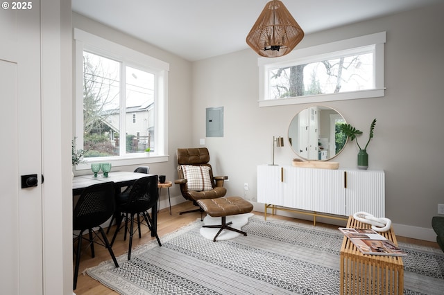 sitting room with electric panel, wood-type flooring, and radiator heating unit