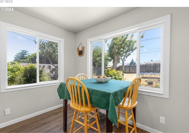 dining area featuring dark wood-type flooring