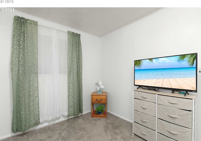 interior space with carpet flooring and crown molding