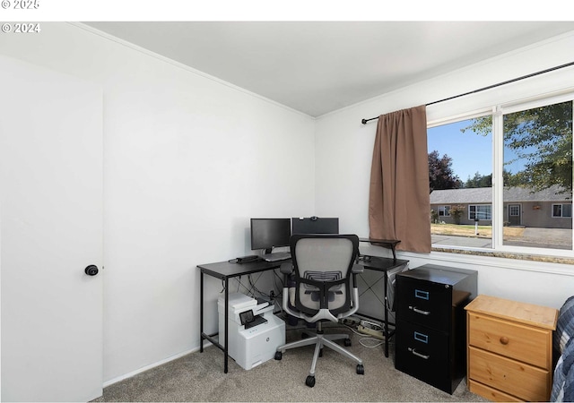 view of carpeted home office