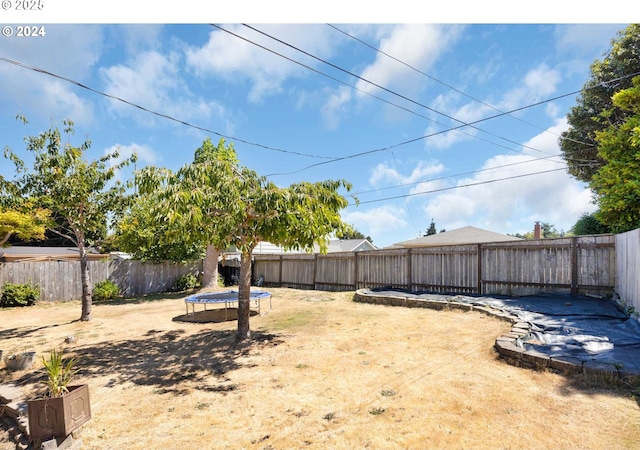 view of yard featuring a trampoline