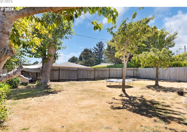 view of yard with a trampoline