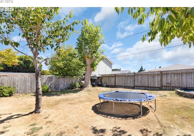 view of yard featuring a trampoline