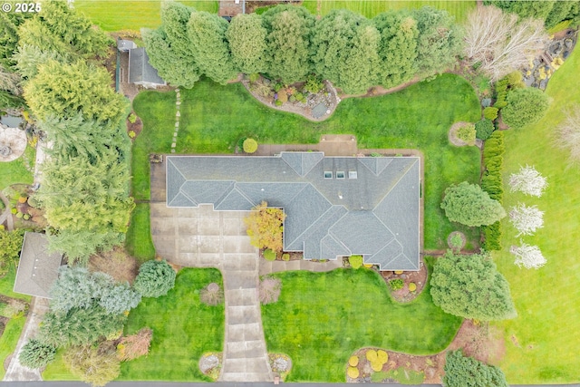 bird's eye view