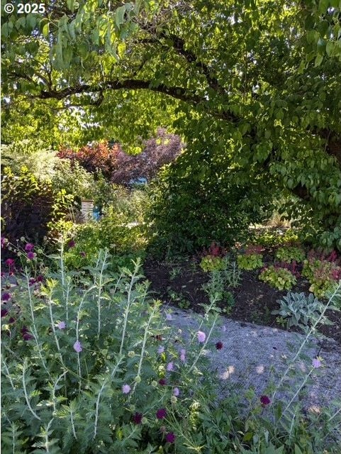 2445 SE 76th Ave, Portland, OR 97206 - view of undeveloped land