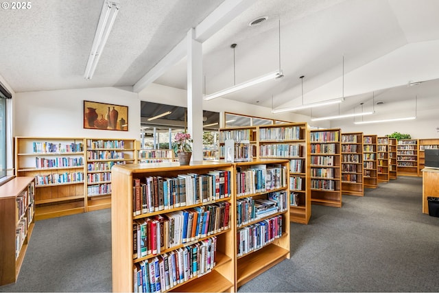 miscellaneous room featuring lofted ceiling, dark carpet, and a textured ceiling