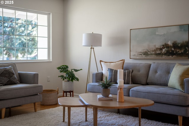 living area featuring light hardwood / wood-style floors