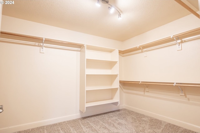 spacious closet featuring light colored carpet