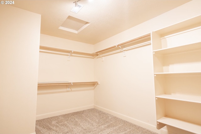 spacious closet with carpet floors