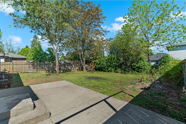 view of yard with a patio and a fenced backyard