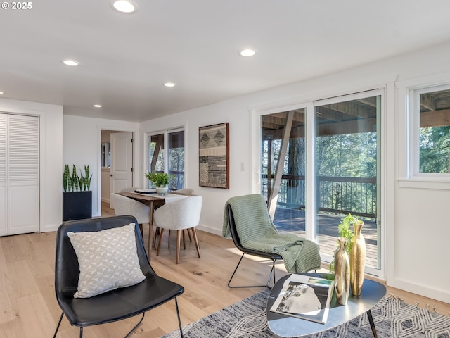 sitting room featuring light hardwood / wood-style floors