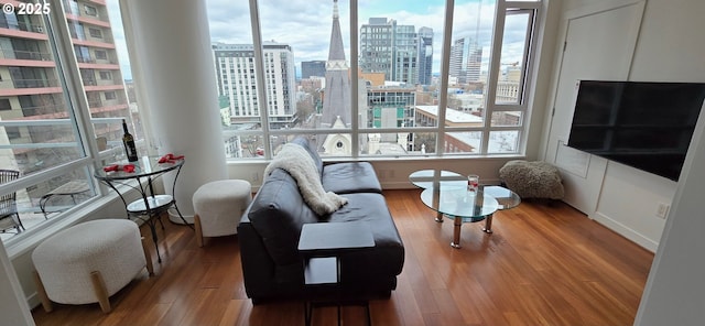 living room with wood finished floors