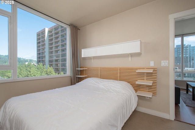 bedroom featuring a city view and baseboards