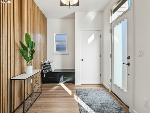 foyer with hardwood / wood-style floors