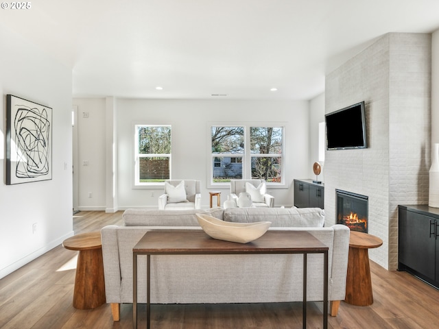 living room with a large fireplace and light hardwood / wood-style flooring