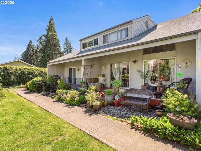 view of front of home featuring roof with shingles, a front lawn, and stucco siding