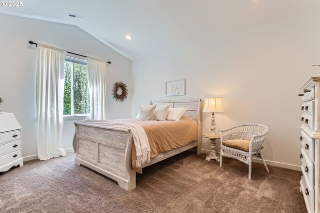 bedroom featuring vaulted ceiling, carpet, and baseboards
