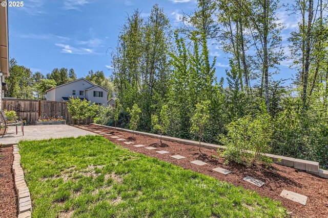 view of yard featuring a patio area