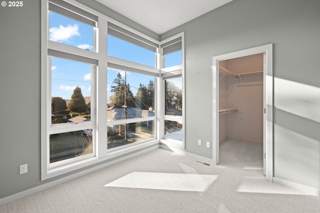 empty room with carpet and a wealth of natural light