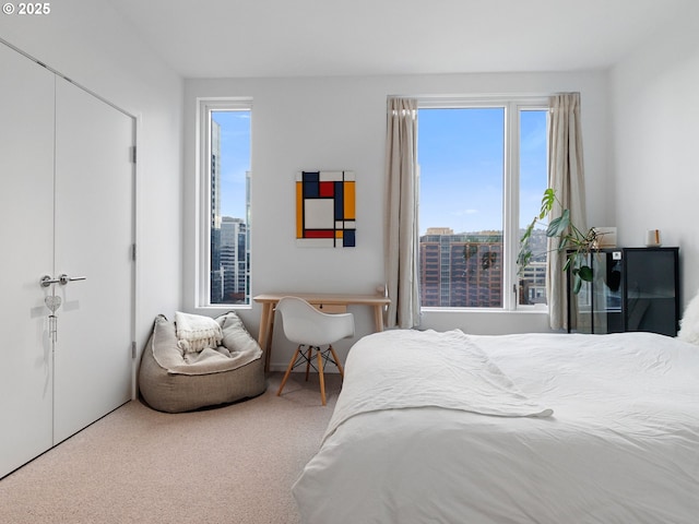 carpeted bedroom featuring a closet