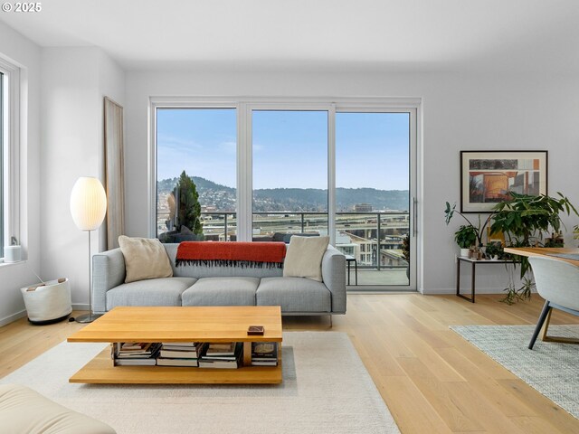 living room featuring a mountain view and hardwood / wood-style floors