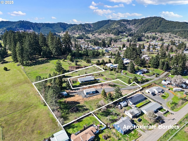 birds eye view of property with a mountain view and a view of trees