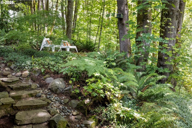1911 NW Norfolk Ct, Portland, OR 97229 - view of tree filled area
