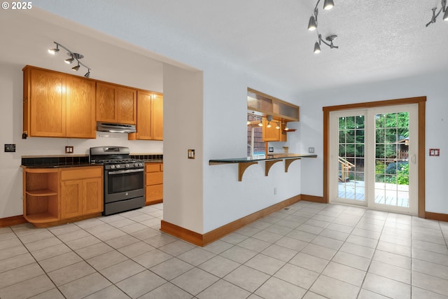 1710 Norkenzie Rd, Eugene, OR 97401 - kitchen with stainless steel gas stove, open shelves, under cabinet range hood, track lighting, and dark countertops
