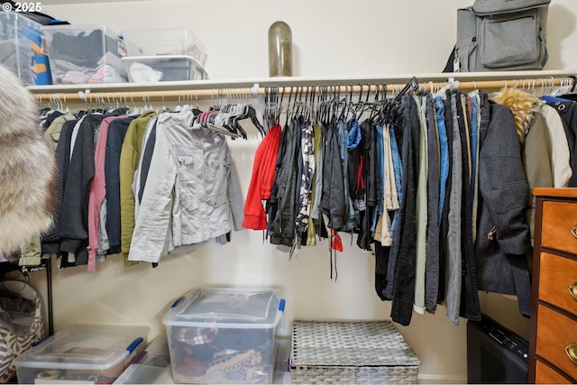 229 N 33rd Ct, Ridgefield, WA 98642 - view of spacious closet