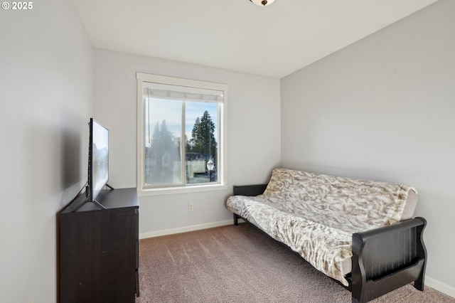 229 N 33rd Ct, Ridgefield, WA 98642 - living area with carpet floors and baseboards