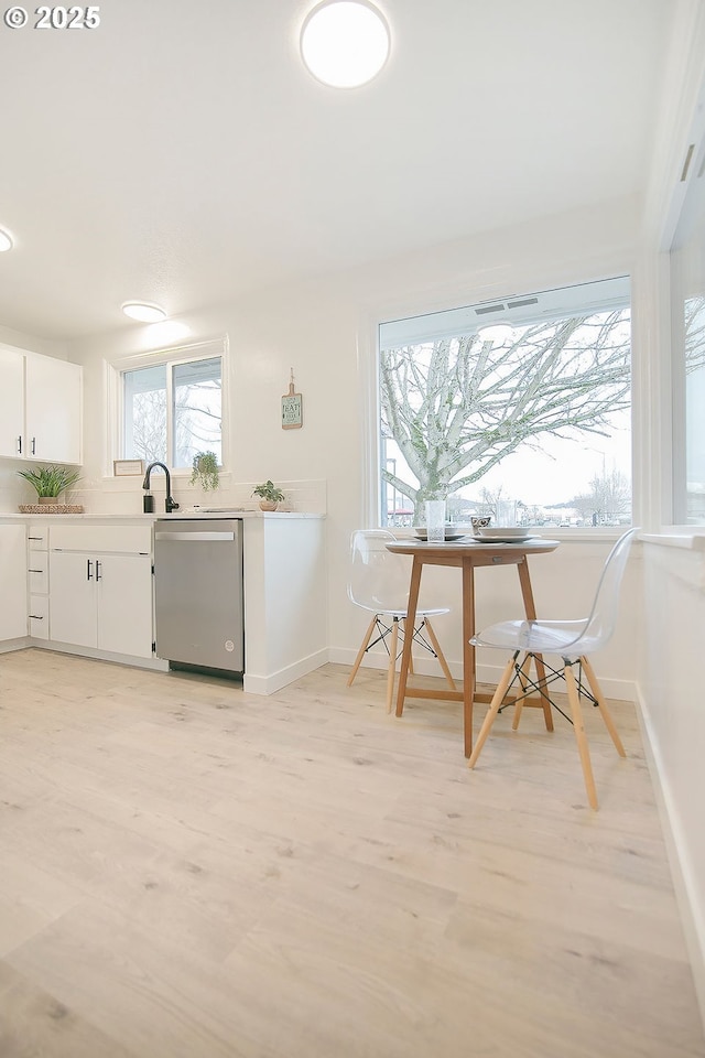 interior space featuring light wood-style floors, plenty of natural light, and baseboards