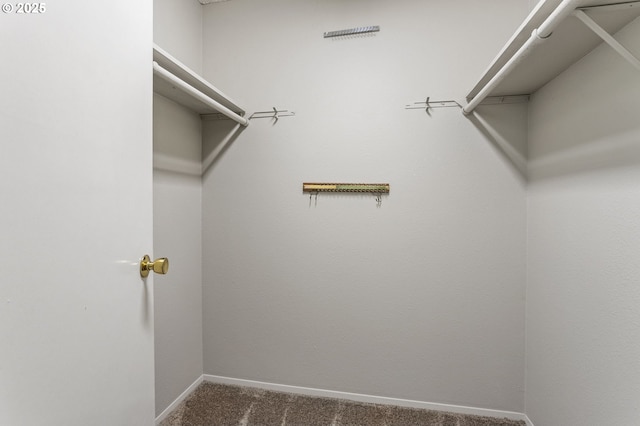 6095 SW Erickson Ave, Beaverton, OR 97008 - walk in closet with carpet flooring