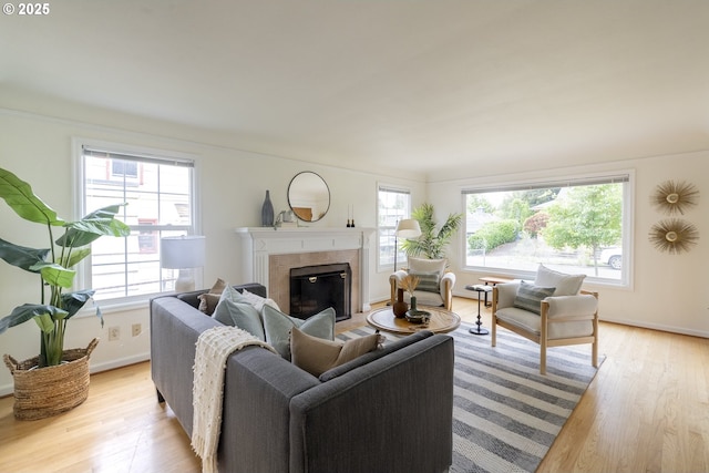 2416 SE 60th Ave, Portland, OR 97206 - living area featuring a glass covered fireplace and light wood-type flooring