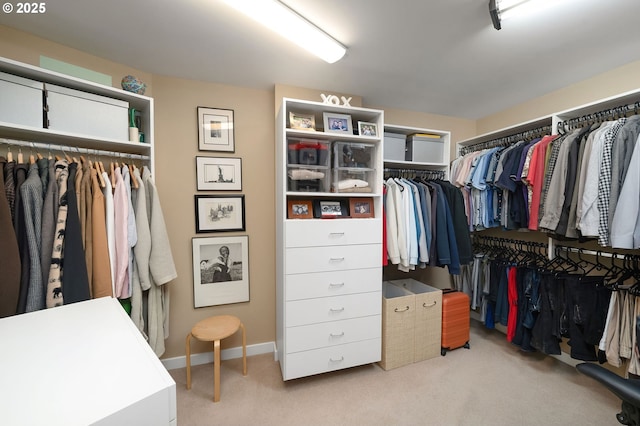 walk in closet with light colored carpet