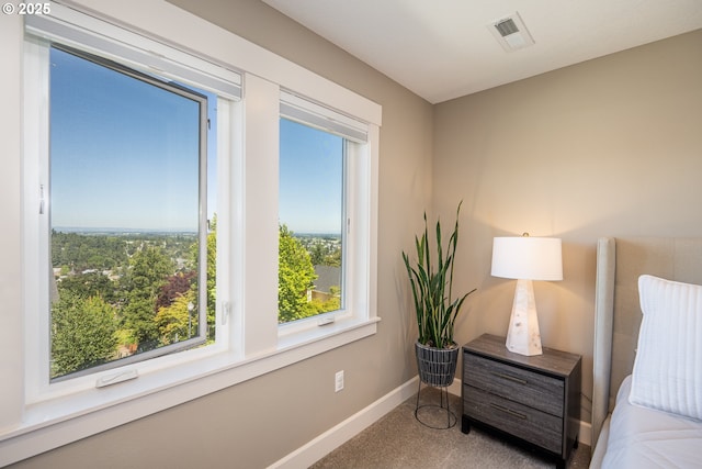 840 Chikamin Loop, Silverton, OR 97381 - carpeted bedroom with multiple windows and baseboards