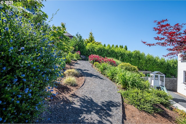 840 Chikamin Loop, Silverton, OR 97381 - view of yard