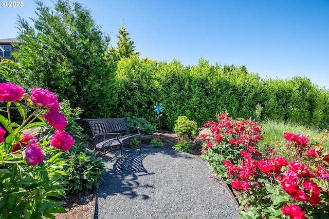 840 Chikamin Loop, Silverton, OR 97381 - view of yard with a patio