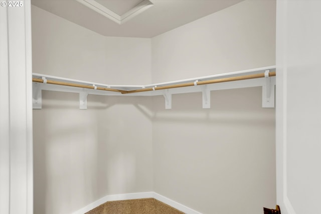 385 SW Mitchum Ter, Beaverton, OR 97006 - walk in closet featuring carpet