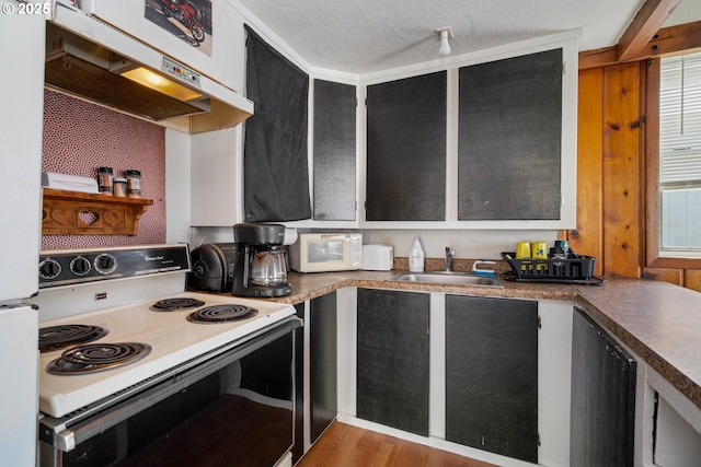 kitchen with wood finished floors, white appliances, under cabinet range hood, dark cabinets, and a sink