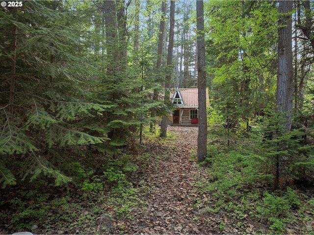 view of property exterior with metal roof and a view of trees