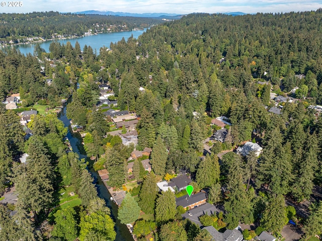 aerial view with a water view and a view of trees