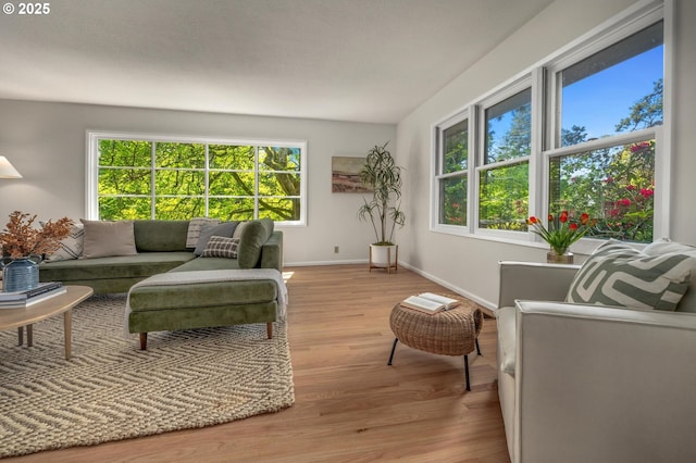 living room with baseboards and wood finished floors