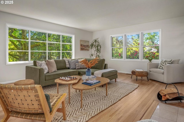 living room featuring baseboards, wood finished floors, and a healthy amount of sunlight