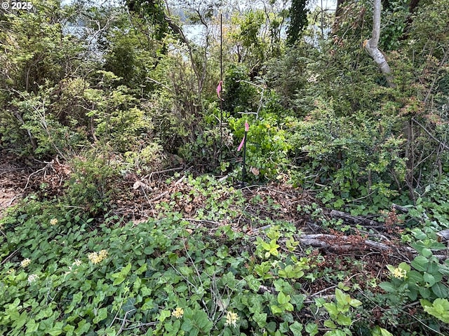 4922 Lake Shore Dr, Florence, OR 97439