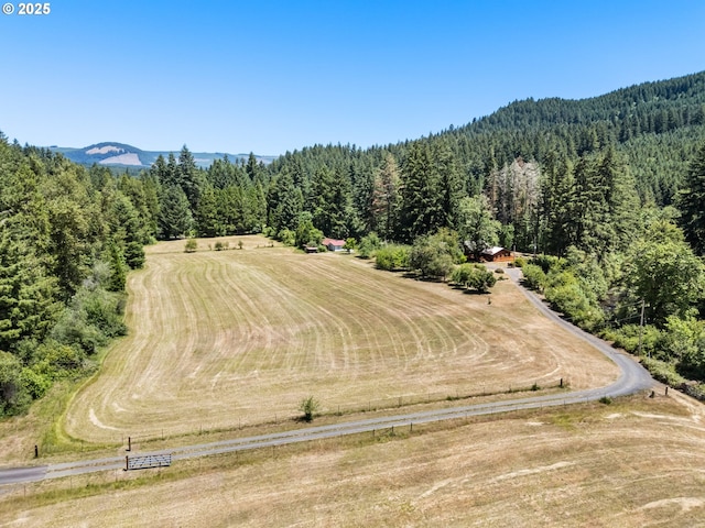 93933 Marcola Rd, Marcola, OR 97454 - drone / aerial view of a forest and mountains