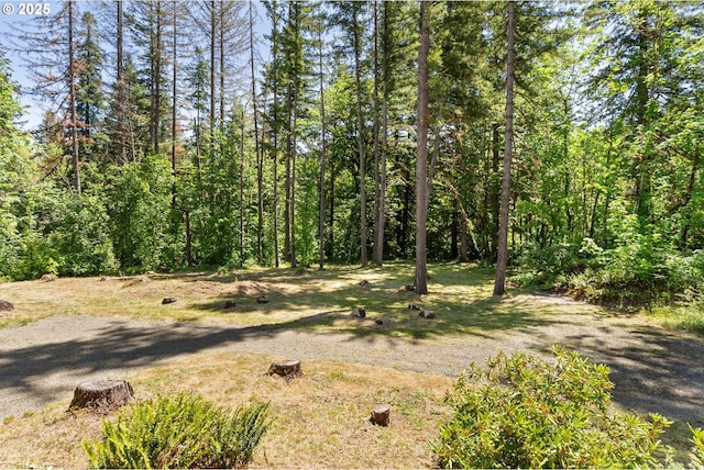 93933 Marcola Rd, Marcola, OR 97454 - view of wooded area