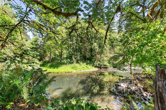 93933 Marcola Rd, Marcola, OR 97454 - view of local wilderness