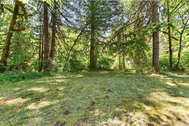 93933 Marcola Rd, Marcola, OR 97454 - view of grassy yard with a forest view