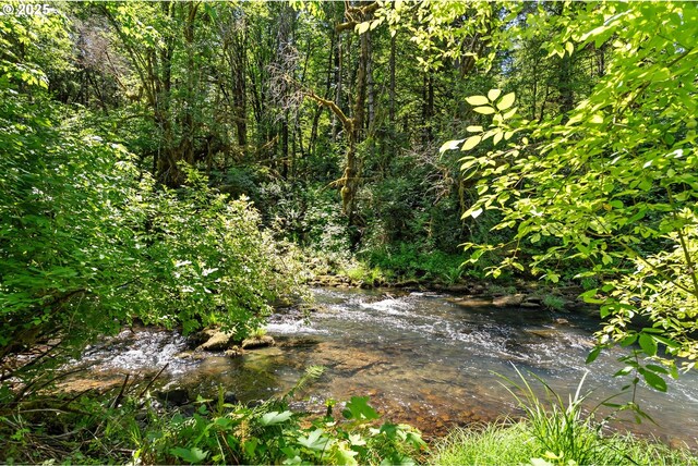 93933 Marcola Rd, Marcola, OR 97454 - view of undeveloped land